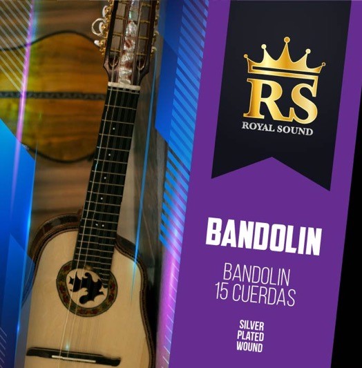 Juego-Bandolin-Ecuatoriano-09-30-Silver Plated-15 Cuerdas